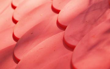 Bournmoor plastic roof costs